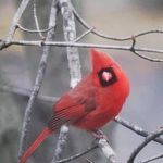 Kathy Winters - @kathywinters711 - Instagram