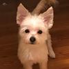 Kathy Witherspoon - @kathywitherspoon724 - TikTok