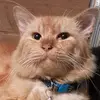 wittykathy - @wittykathy - TikTok