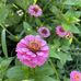 Kathy Wragg - Facebook