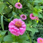 Kathy Wragg - @mabarkersrescueranch - Instagram