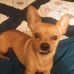 Kathy Wray - Facebook