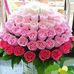 Kathy Beatty Wunderlich - Facebook