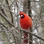 Kathy Yarbrough - @kathy.yarbrough.58760 - Instagram