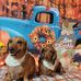 Kathy Yarbrough - Facebook