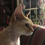 Kathy Wyllner Yeager - @kathywyeager - Instagram