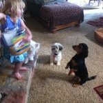 Kathy Yeager - @oksaw44 - Instagram