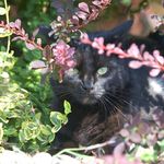 Kathy Yeager - @rkyeager - Instagram