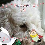 Kathy Yee - @kathyyee68 - Instagram