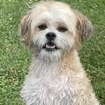 Kathy Yohn - @kathy.yohn.3 - Instagram