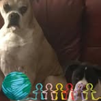 Kathy York - Facebook