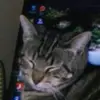 Kathy Zenner - @kathyzenner - TikTok