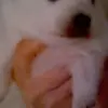 Kati-Lee - @katilee4 - TikTok