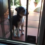 kati perry - @kati_perry_ruiz - Instagram