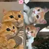 kati.iii🥰💖 - @katiperry82 - TikTok