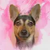 katithomas933 - @katithomas933 - TikTok