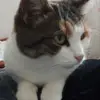 katiabergami - @katiabergami - TikTok
