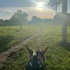 Katia Domínguez - @keisy_ff0 - TikTok