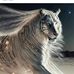 Katie Adamson - Facebook