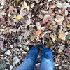 katie.adamson - @katie.adamson - TikTok