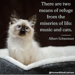 Katie Altman - @altkatphoto2 - Instagram