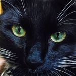 Katie Anglin Dickinson - @kjanglin44 - Instagram
