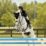 Kate Argo - @katherine_argo - Instagram