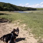 Katie Armitage - Facebook