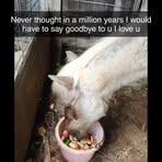 Katie Aston - Facebook