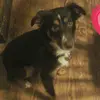 Katie Aston - @user661258359870 - TikTok