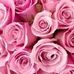 Katie Atherton - Facebook