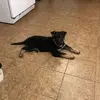 katiebabb6 - @katiebabb6 - TikTok
