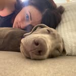 Katie Shattuck-Basham - @mombombbasham - Instagram