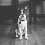 Kate Baucom - @ginger.theboston - Instagram