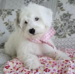 Katie Beall - Facebook