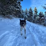 Katie Nwe Beall - Facebook