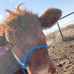 katie beavers - @kati.ebeavers - Instagram