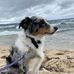 Katie Beebe - Facebook