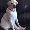Kate Beswick - @kate.beswick - TikTok