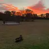 katiebockman886 - @katiebockman886 - TikTok