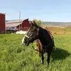 KatieBohn - @kbohn1201 - TikTok