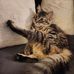 Katy Bohn - Facebook
