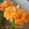 Aravind_Loganathan - @katie_bollinger - TikTok