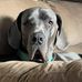 Katie Bosse - Facebook