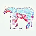 Katie Bouchard - @kb_equine_wellness - Instagram