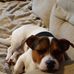 Katie Brace - Facebook