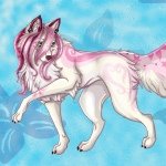 Katie Bratcher - @silentwolf9470 - Instagram