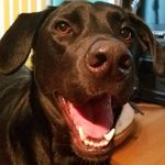 Katie Bratcher - @katie.bratcher1 - Instagram