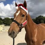 Katie&Brielle - @jumpersvision_ridethroughit_fp - Instagram