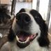 Kate Bringhurst - Facebook